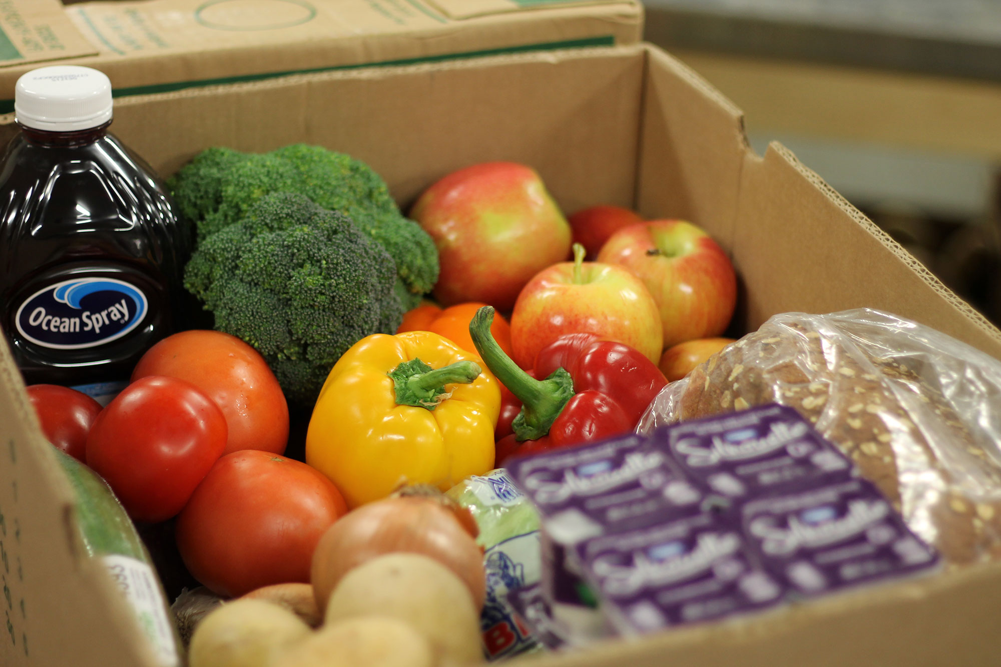 Food Banks Canada HungerCount 2023